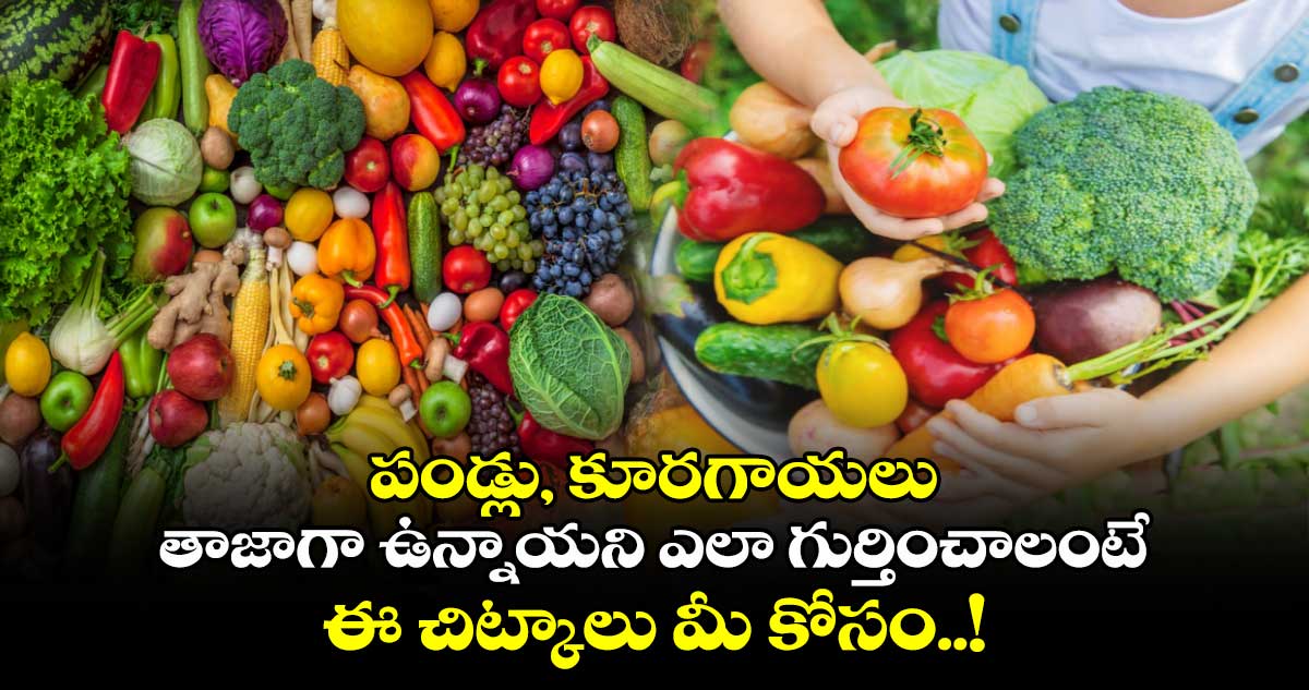 Good Health : పండ్లు, కూరగాయలు తాజాగా ఉన్నాయని ఎలా గుర్తించాలంటే.. ఈ చిట్కాలు మీ కోసం..!