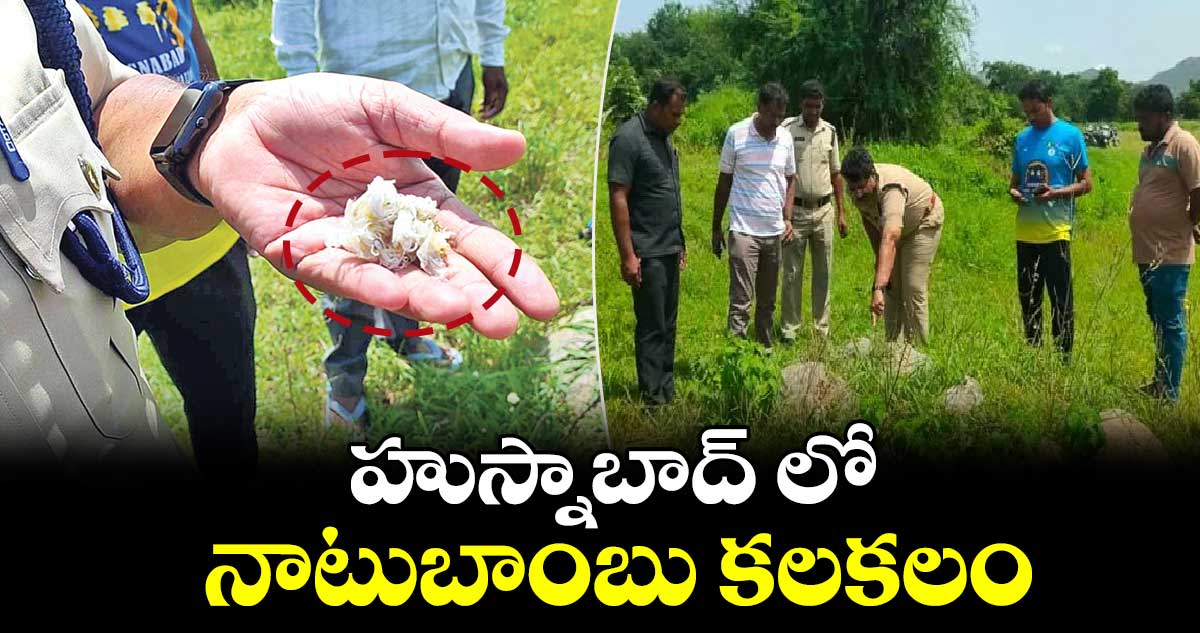 హుస్నాబాద్ లో నాటుబాంబు కలకలం