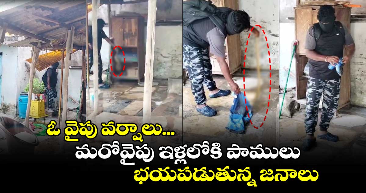 ఓ వైపు వర్షాలు... మరోవైపు ఇళ్లలోకి పాములు .. భయపడుతున్న జనాలు