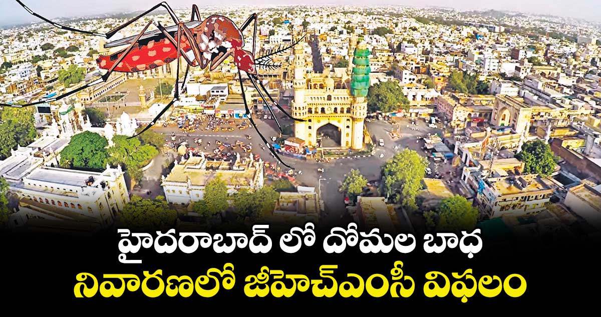 హైదరాబాద్ లో దోమల బాధ..  నివారణలో జీహెచ్ఎంసీ విఫలం