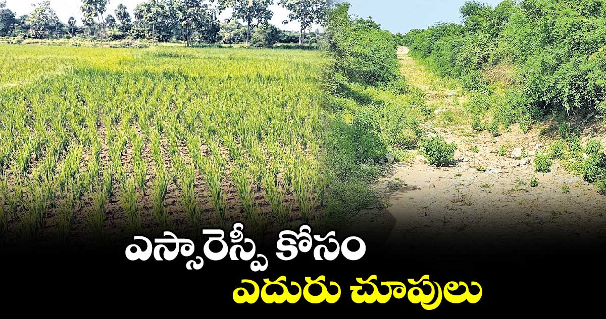 ఎస్సారెస్పీ కోసం ఎదురు చూపులు