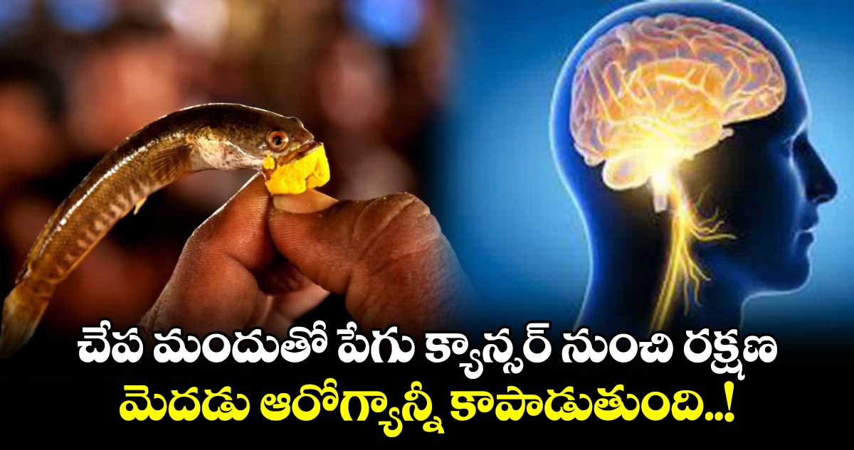 Good Health : చేప మందుతో పేగు క్యాన్సర్ నుంచి రక్షణ.. మెదడు ఆరోగ్యాన్నీ కాపాడుతుంది..!