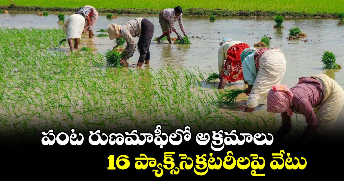 పంట రుణమాఫీలో అక్రమాలు..16 ప్యాక్స్సెక్రటరీలపై వేటు