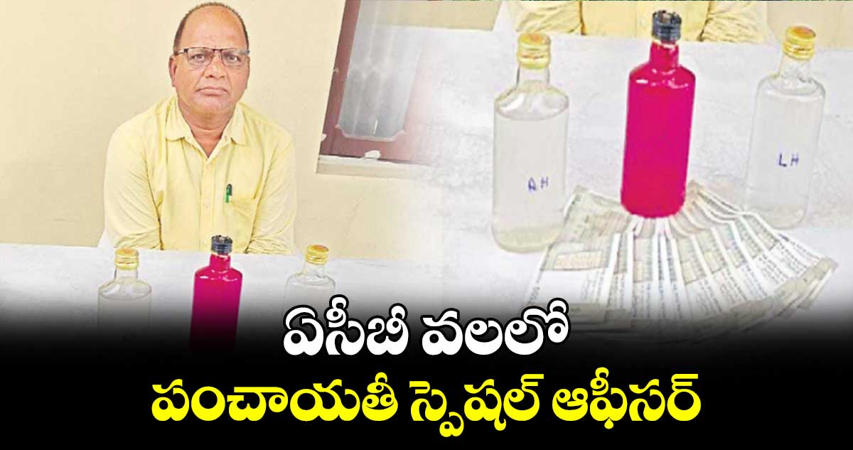 ఏసీబీ వలలో పంచాయతీ స్పెషల్ ఆఫీసర్​