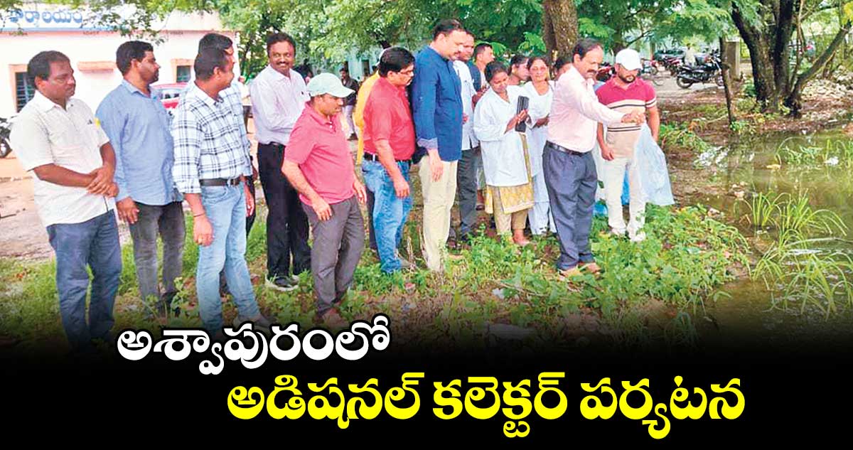 అశ్వాపురంలో అడిషనల్​ కలెక్టర్ పర్యటన