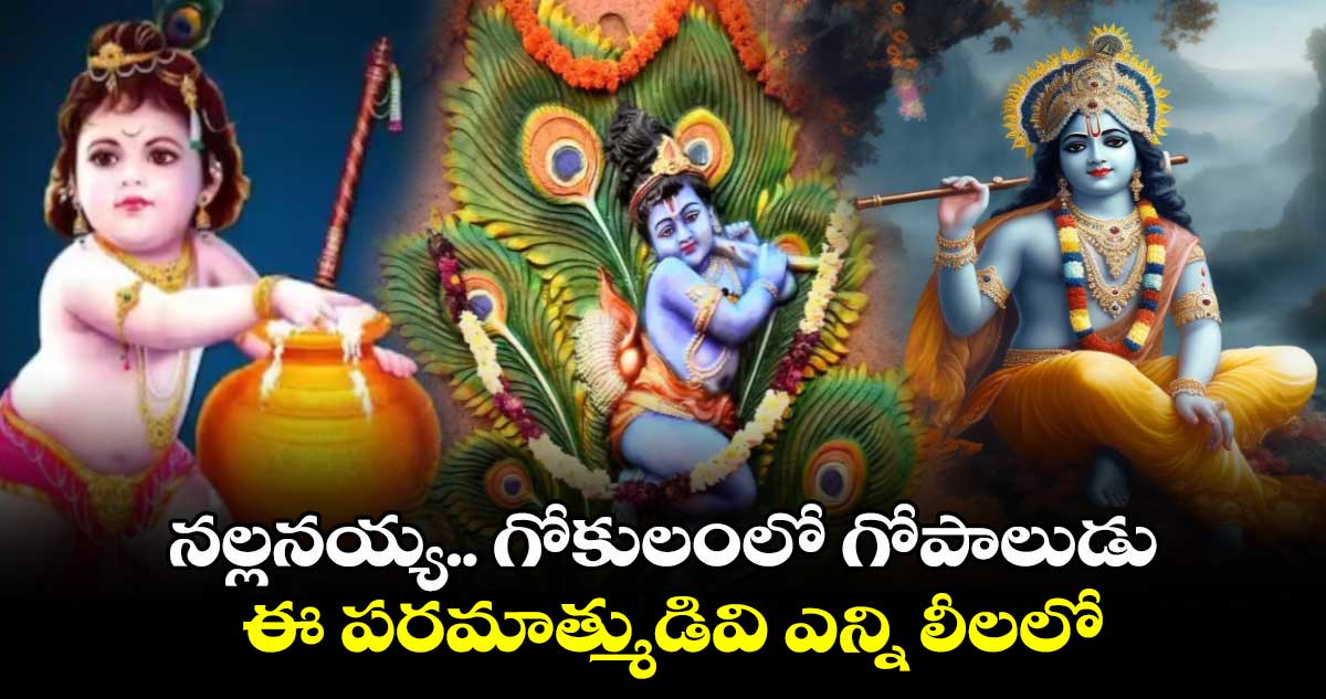 Gokulashtami2024: నల్లనయ్య.. గోకులంలో గోపాలుడు.. ఈ పరమాత్ముడివి ఎన్ని లీలలో..