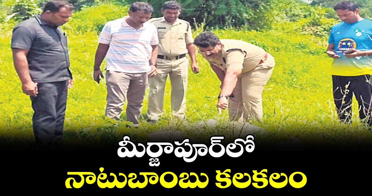 మీర్జాపూర్​లో నాటుబాంబు కలకలం