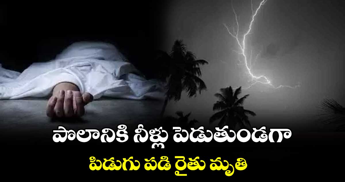 పొలానికి నీళ్లు పెడుతుండగా పిడుగు పడి రైతు మృతి 