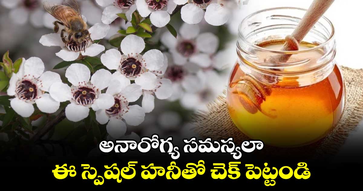 అనారోగ్య సమస్యలా..ఈ స్పెషల్ హనీతో చెక్ పెట్టండి  