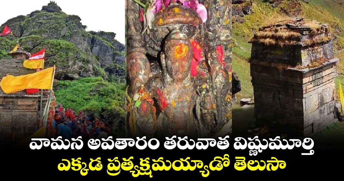 వామన అవతారం తరువాత విష్ణుమూర్తి ఎక్కడ ప్రత్యక్షమయ్యాడో తెలుసా...