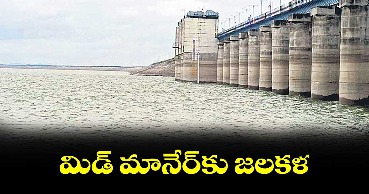 మిడ్ మానేర్కు జలకళ