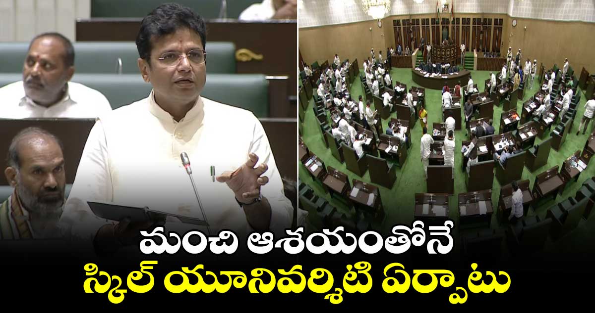 తెలంగాణ అసెంబ్లీ: మంచి ఆశయంతోనే స్కిల్ యూనివర్శిటి ఏర్పాటు: మంత్రి శ్రీధర్ బాబు