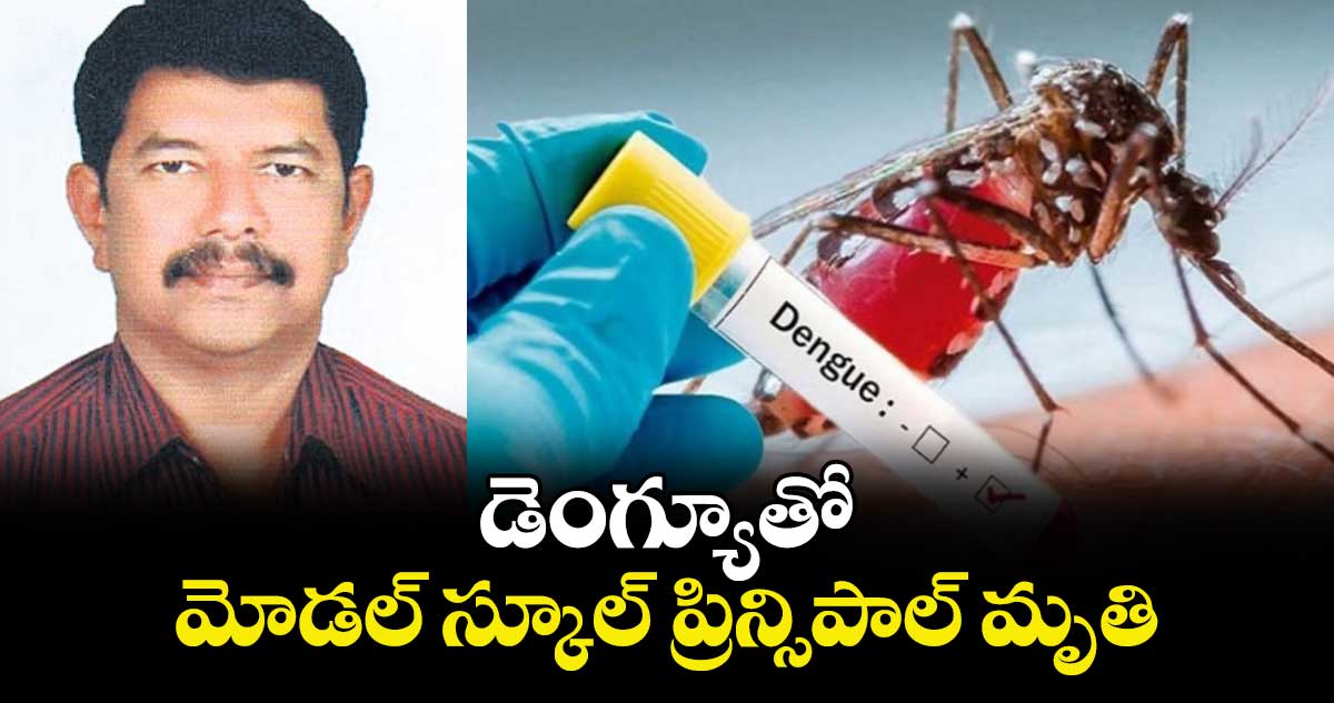డెంగ్యూతో మోడల్ స్కూల్ ప్రిన్సిపాల్ మృతి