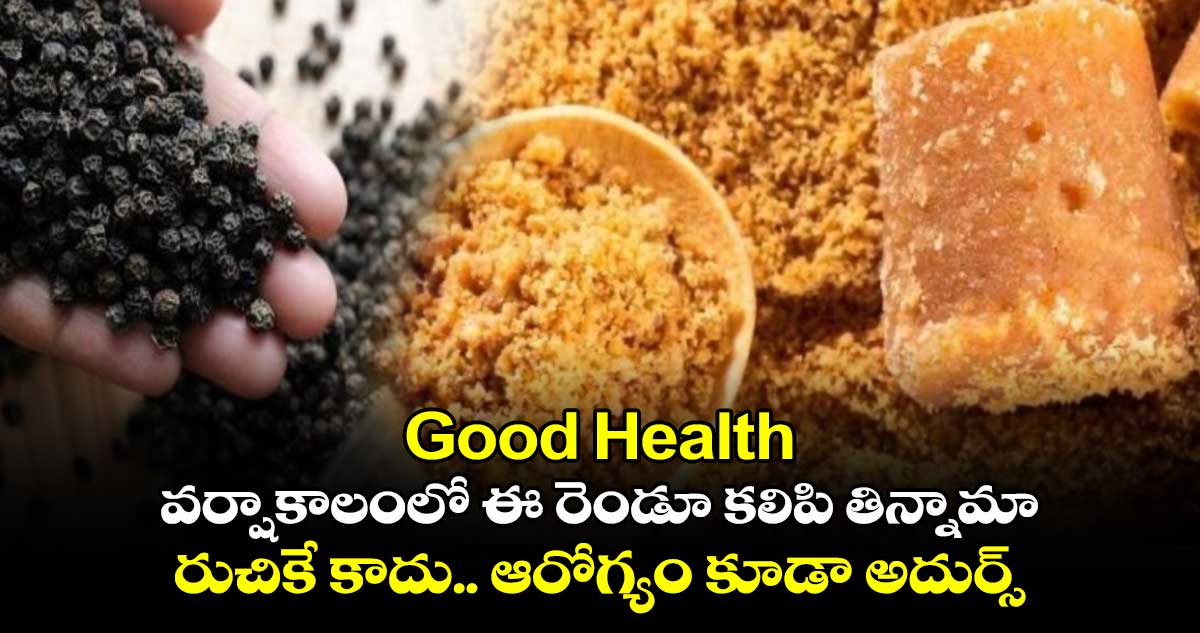 Good Health: వర్షాకాలంలో ఈ రెండూ కలిపి తిన్నామా... రుచికే కాదు.. ఆరోగ్యం కూడా అదుర్స్