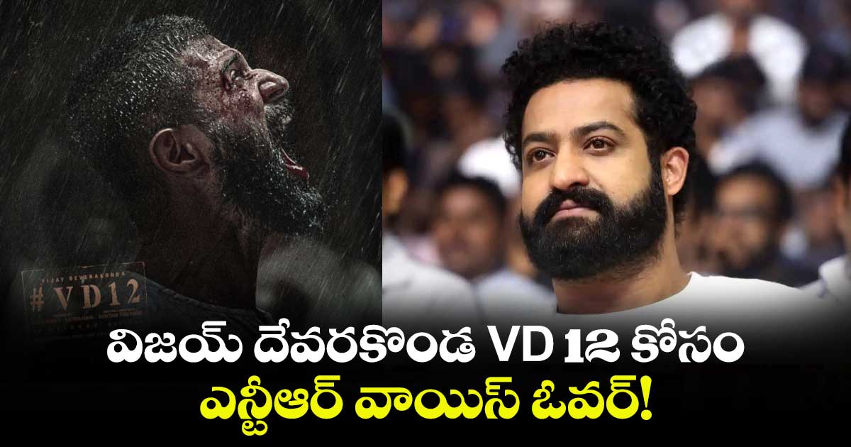 NTR Voice over : విజయ్ దేవరకొండ VD 12 కోసం ఎన్టీఆర్ వాయిస్ ఓవర్!