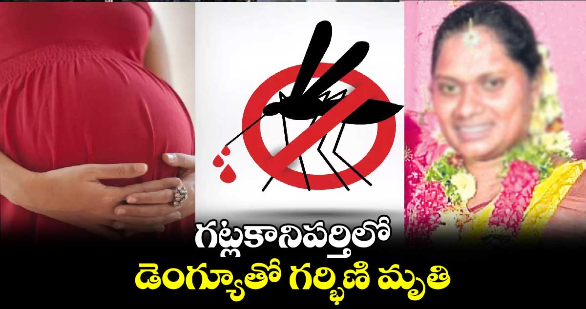 గట్లకానిపర్తిలో  డెంగ్యూతో గర్భిణి మృతి 