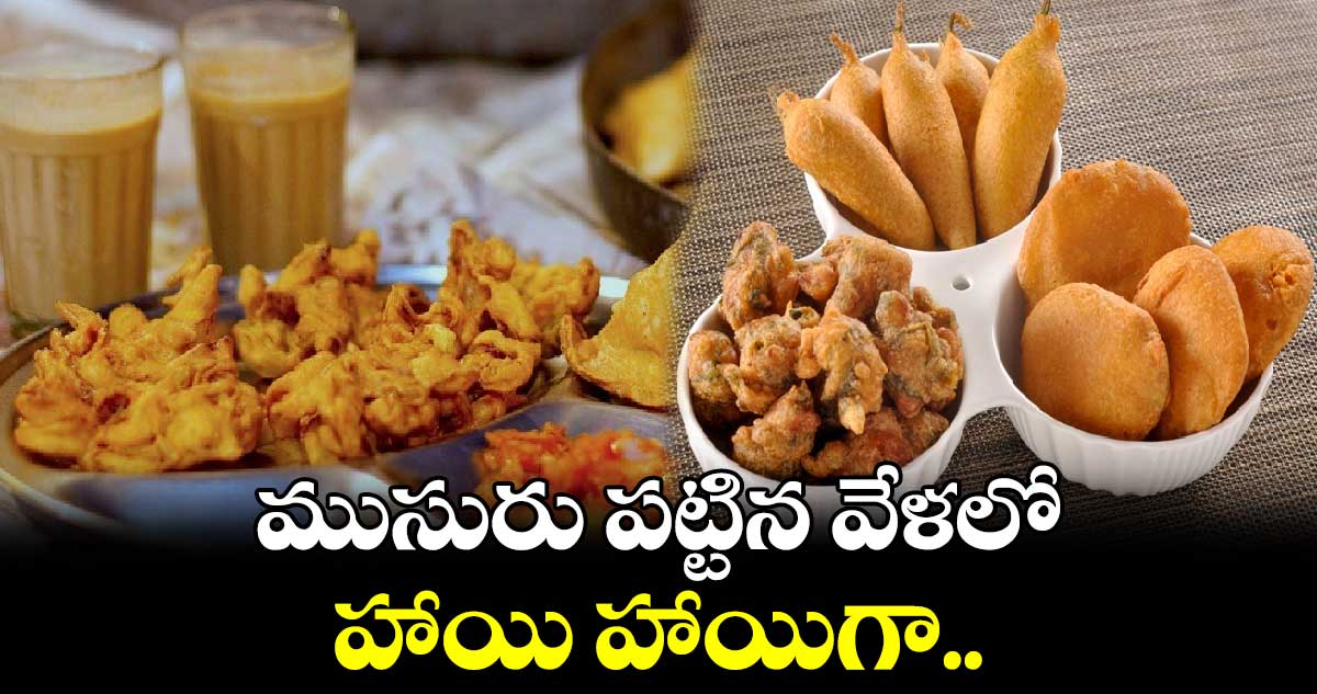 Rainy Season: ముసురు పట్టిన వేళలో.... హాయి హాయిగా..