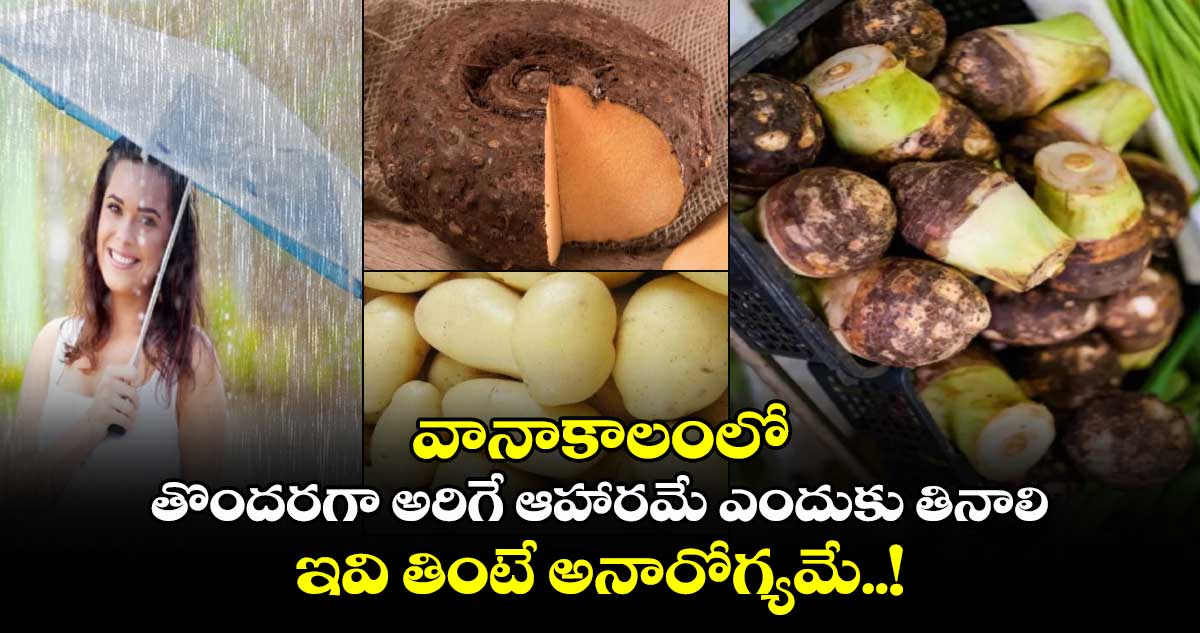 Good Health : వానాకాలంలో తొందరగా అరిగే ఆహారమే ఎందుకు తినాలి.. ఇవి తింటే అనారోగ్యమే..!