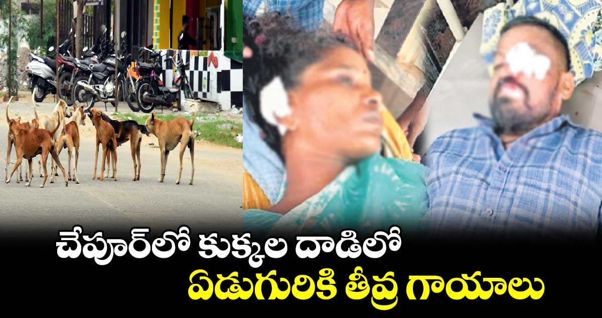 చేపూర్​లో కుక్కల దాడిలో ఏడుగురికి తీవ్ర గాయాలు