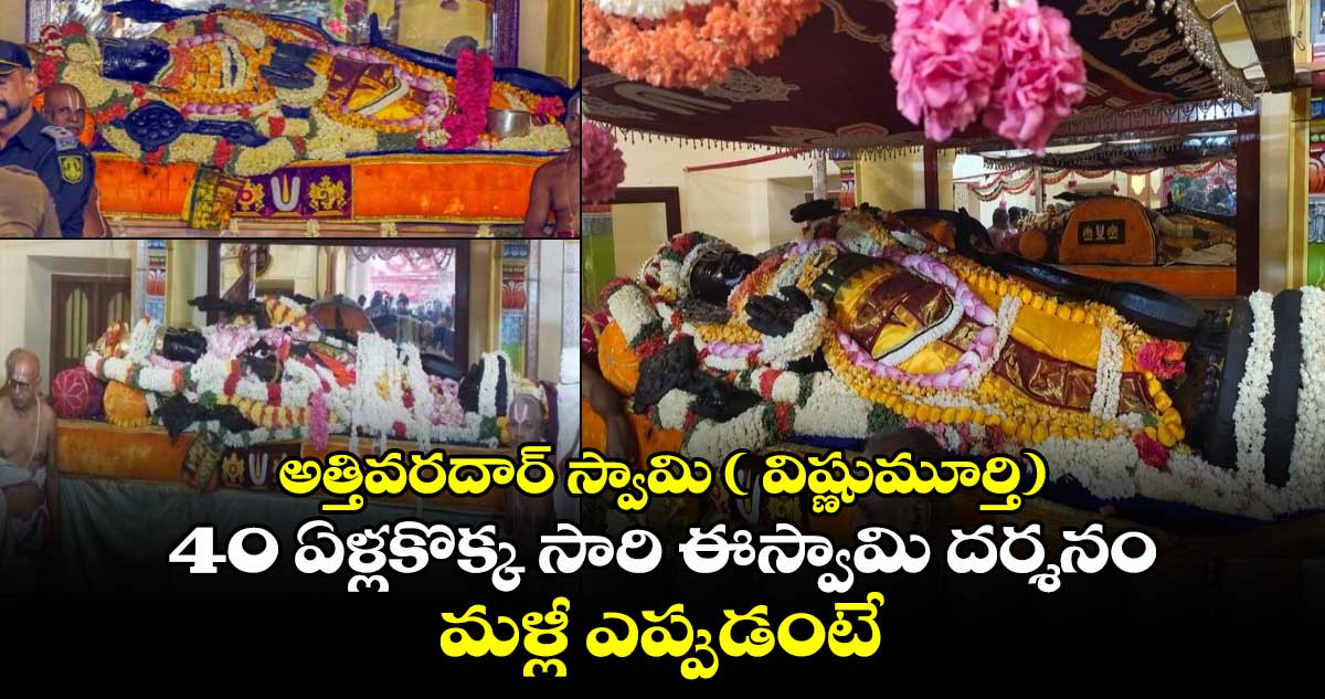 అత్తివరదార్​ స్వామి ( విష్ణుమూర్తి): 40 ఏళ్లకొక్క సారి ఈస్వామి దర్శనం.. మళ్లీ ఎప్పుడంటే..