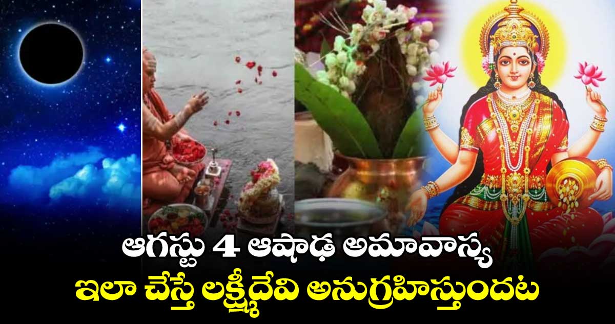 ఆగస్టు 4 ఆషాఢ  అమావాస్య..  ఇలా చేస్తే లక్ష్మీదేవి అనుగ్రహిస్తుందట