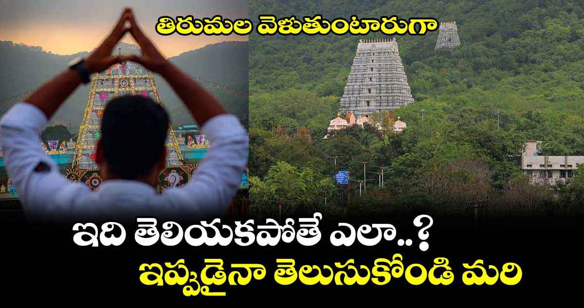 Tirumala: తిరుమల వెళుతుంటారుగా.. ఇది తెలియకపోతే ఎలా..? ఇప్పుడైనా తెలుసుకోండి మరి..