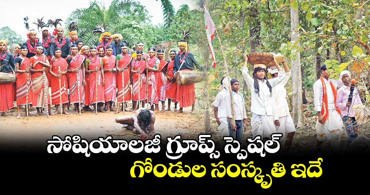 సోషియాలజీ గ్రూప్స్ స్పెషల్ : గోండుల సంస్కృతి ఇదే