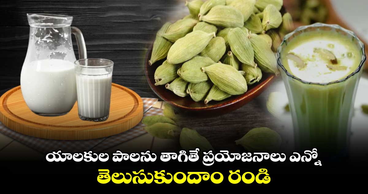 Lifestyle: యాలకుల పాలను తాగితే ప్రయోజనాలు ఎన్నో.. తెలుసుకుందాం రండి  