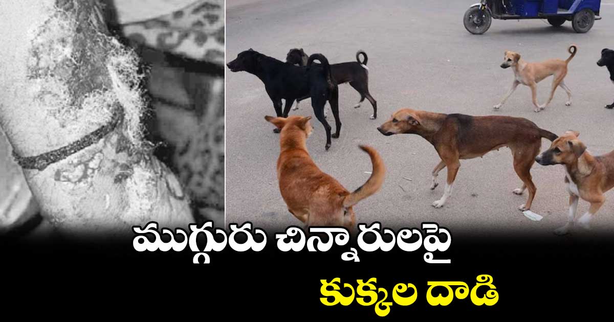 ముగ్గురు చిన్నారులపై కుక్కల దాడి