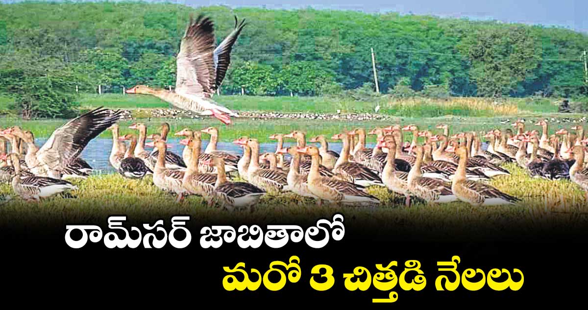 రామ్​సర్ జాబితాలో మరో 3 చిత్తడి నేలలు