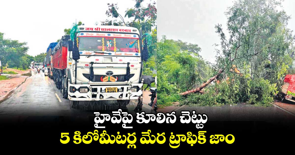 హైవేపై కూలిన చెట్టు..  5 కిలోమీటర్ల మేర ట్రాఫిక్‌‌‌‌ జాం