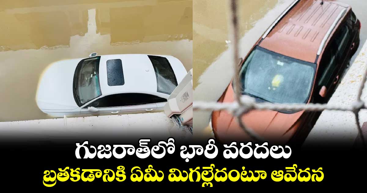 Gujarath floods: గుజరాత్లో భారీ వరదలు..బ్రతకడానికి ఏమీ మిగల్లేదంటూ ఆవేదన