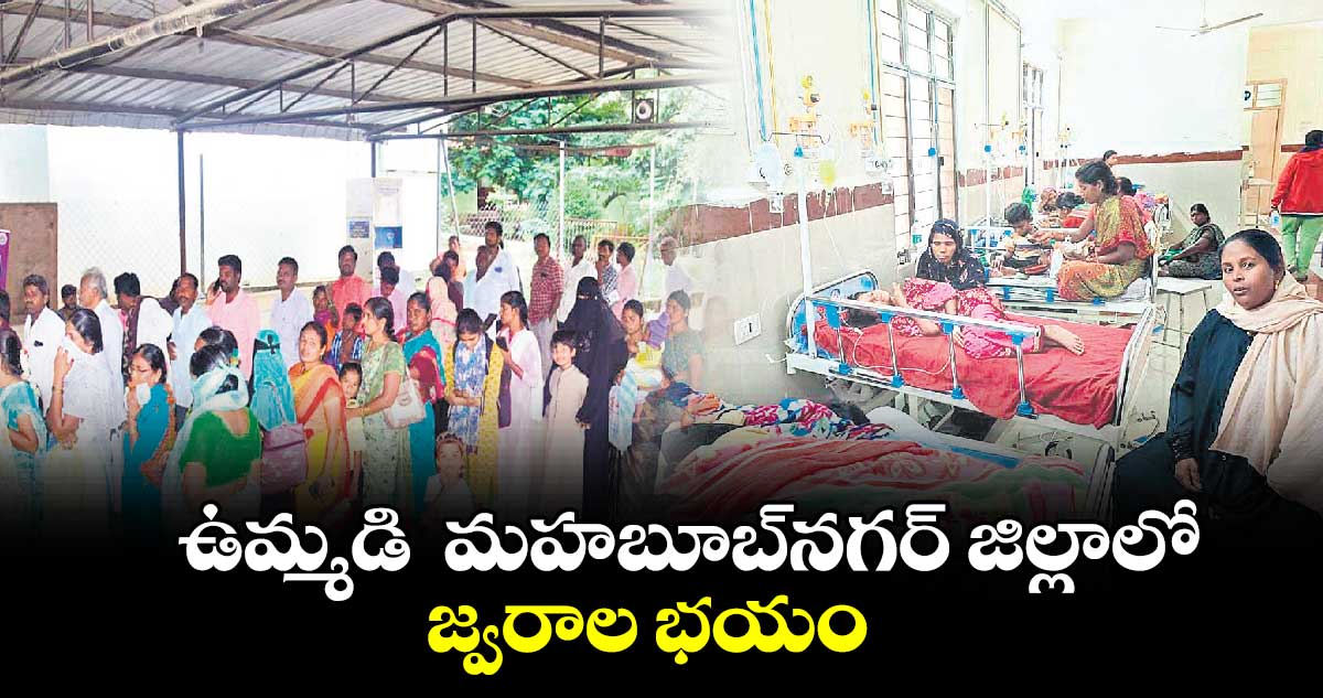 ఉమ్మడి  మహబూబ్​నగర్​ జిల్లాలో జ్వరాల భయం 