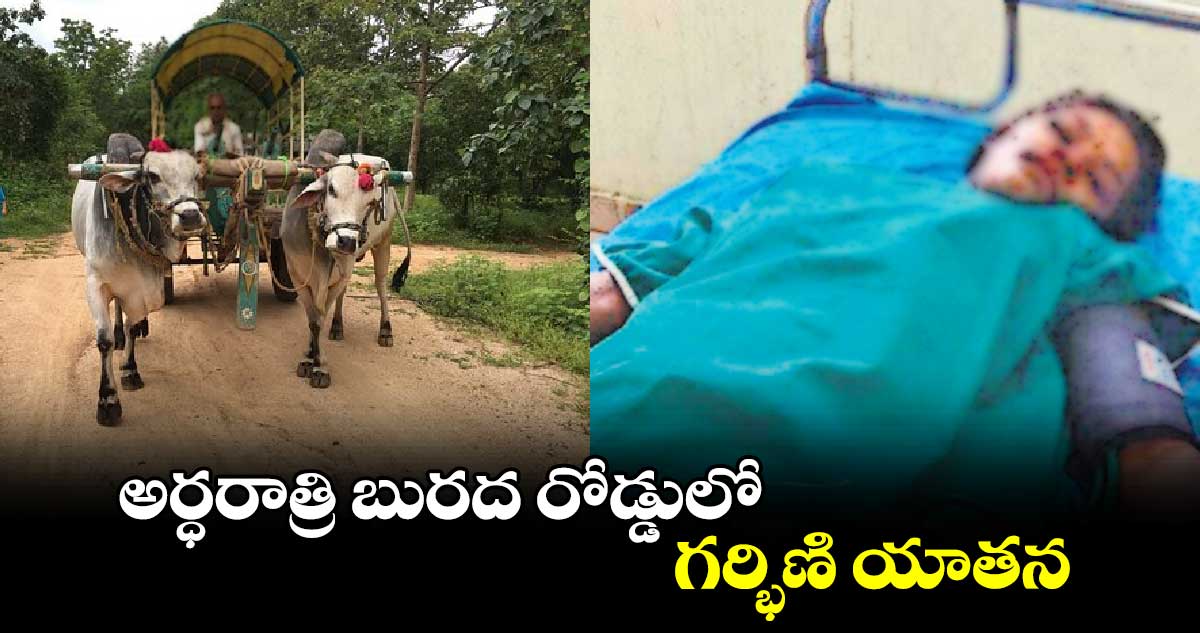 అర్ధరాత్రి బురద రోడ్డులో గర్భిణి యాతన