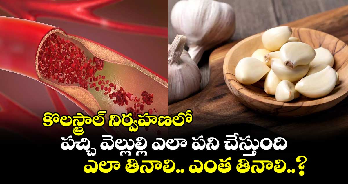 Good Health:కొలస్ట్రాల్ నిర్వహణలో..పచ్చి వెల్లుల్లి ఎలా పని చేస్తుంది..ఎలా తినాలి.. ఎంత తినాలి..?