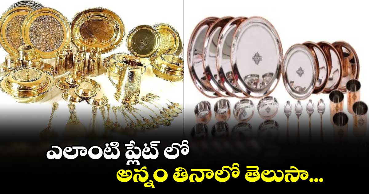 Lifestyle: ఎలాంటి ప్లేట్​ లో అన్నం తినాలో తెలుసా...