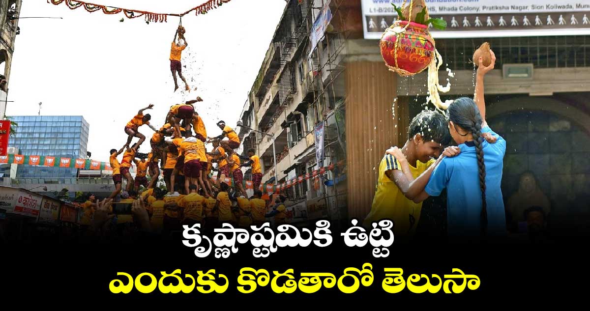 Krishna Ashtami Special 2024: కృష్ణాష్టమికి ఉట్టి ఎందుకు కొడతారో తెలుసా... 