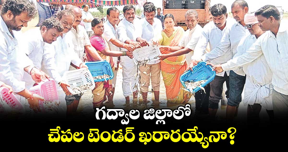 గద్వాల  జిల్లాలో చేపల టెండర్ ఖరారయ్యేనా?