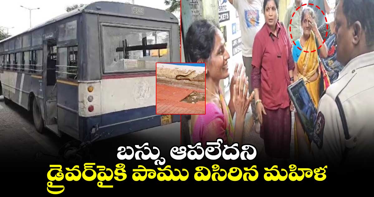 బస్సు ఆపలేదని.. డ్రైవర్⁬పైకి పాము విసిరిన మహిళ 