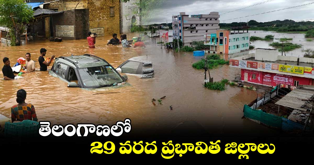 తెలంగాణలో 29 వరద ప్రభావిత జిల్లాలు