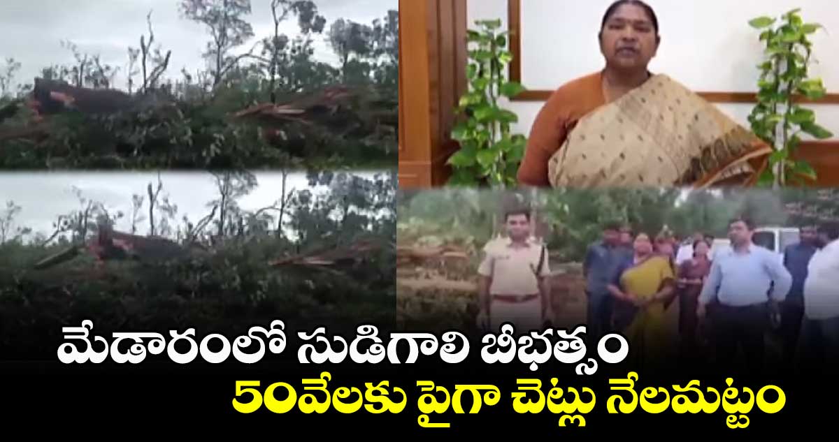 మేడారంలో సుడిగాలి బీభత్సం... 50వేలకు పైగా చెట్లు నేలమట్టం 