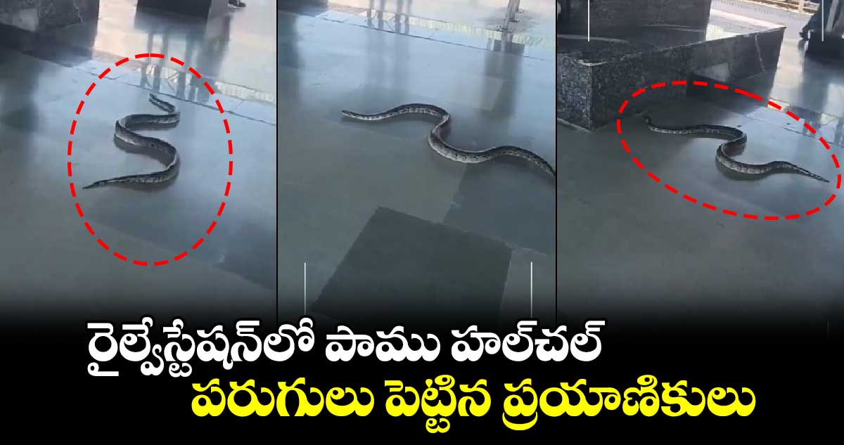 Viral news: రైల్వేస్టేషన్⁬లో పాము హల్⁬చల్..పరుగులు పెట్టిన ప్రయాణికులు