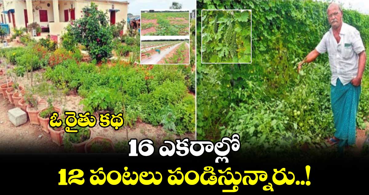 ఓ రైతు కథ: 16 ఎకరాల్లో 12 పంటలు పండిస్తున్నారు..!