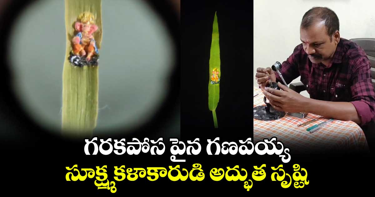 గరకపోస పైన గణపయ్య.. సూక్ష్మ కళాకారుడి అద్భుత సృష్టి