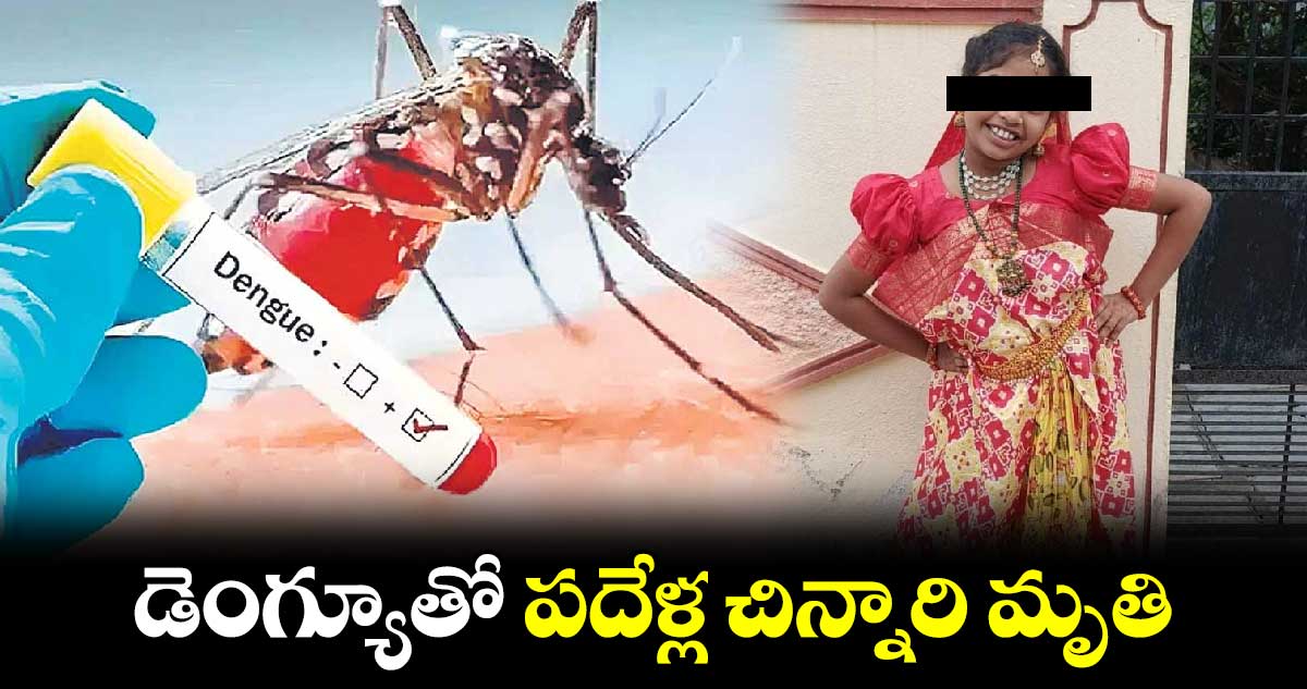 డెంగ్యూతో పదేళ్ల చిన్నారి మృతి