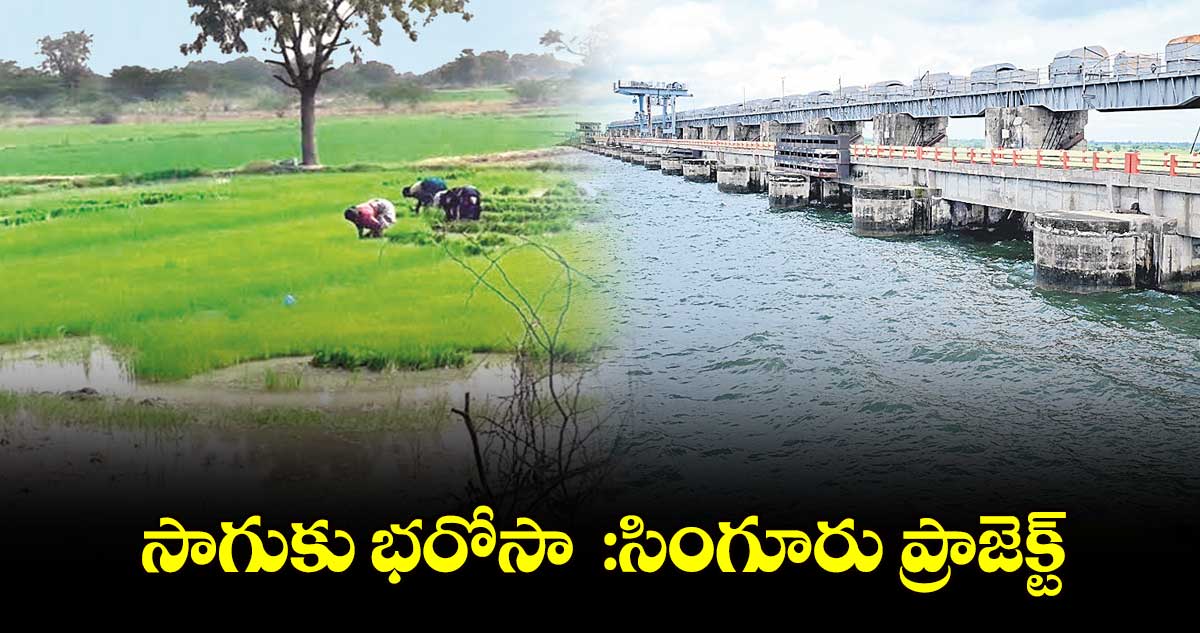 సాగుకు భరోసా  :సింగూరు ప్రాజెక్ట్