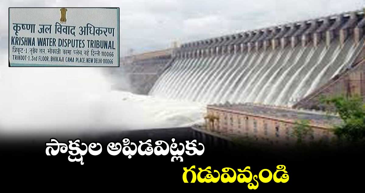 సాక్షుల అఫిడవిట్లకు గడువివ్వండి