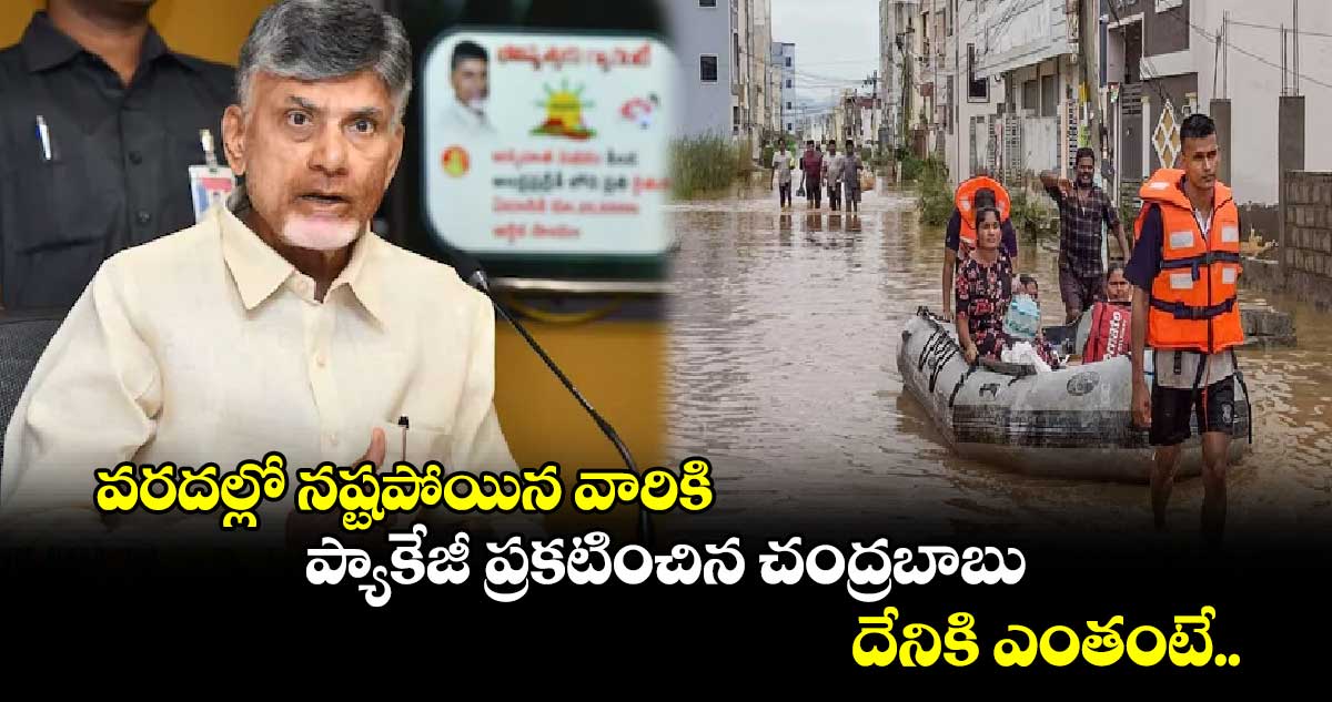 AP News: వరదల్లో నష్టపోయిన వారికి ప్యాకేజీ ప్రకటించిన చంద్రబాబు... దేనికి ఎంతంటే..