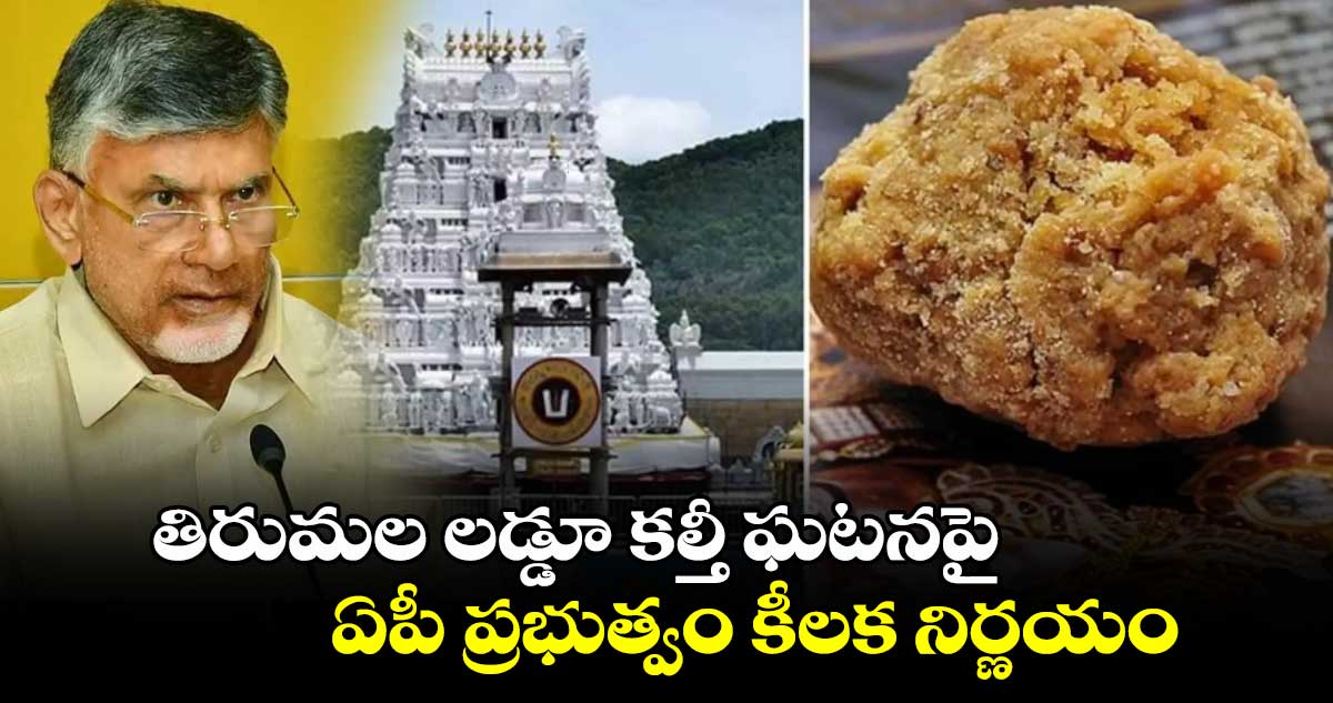 తిరుమల లడ్డూ కల్తీ ఘటనపై ఏపీ ప్రభుత్వం కీలక నిర్ణయం