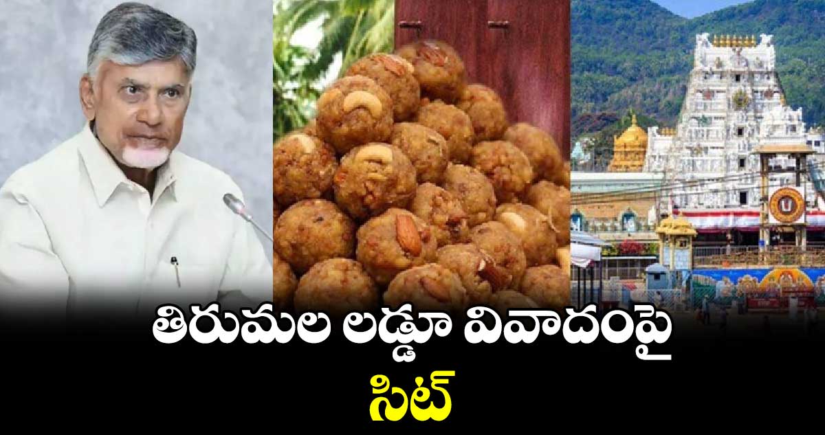 తిరుమల లడ్డూ వివాదంపై సిట్ : ఏపీ సీఎం చంద్రబాబు 